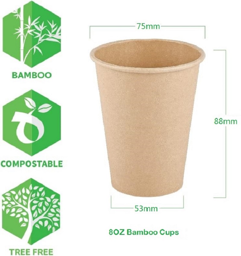 8 oz Bambusfaser-Pappbecher, b – Bamboo Cutlery Travel Bewertung und Preis